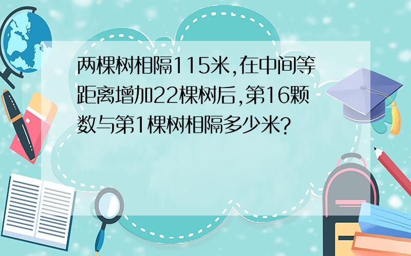 两棵树相隔115米,在中间等距离增加22棵树后,第16颗数与第1棵树相隔多少米?