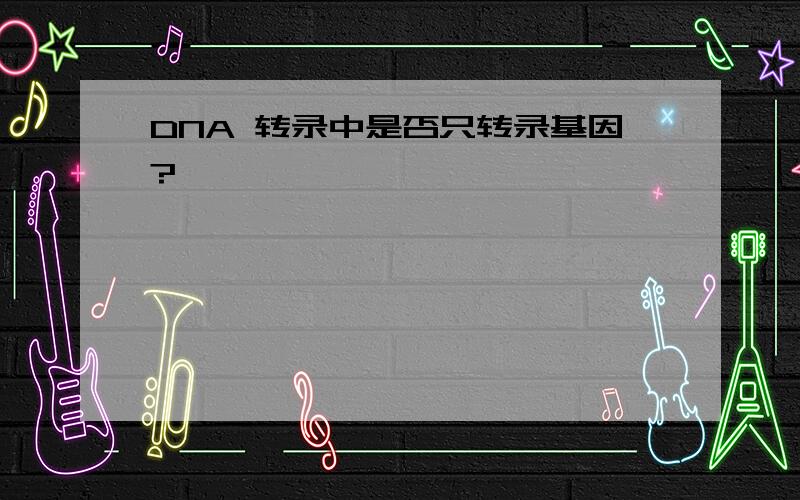 DNA 转录中是否只转录基因?