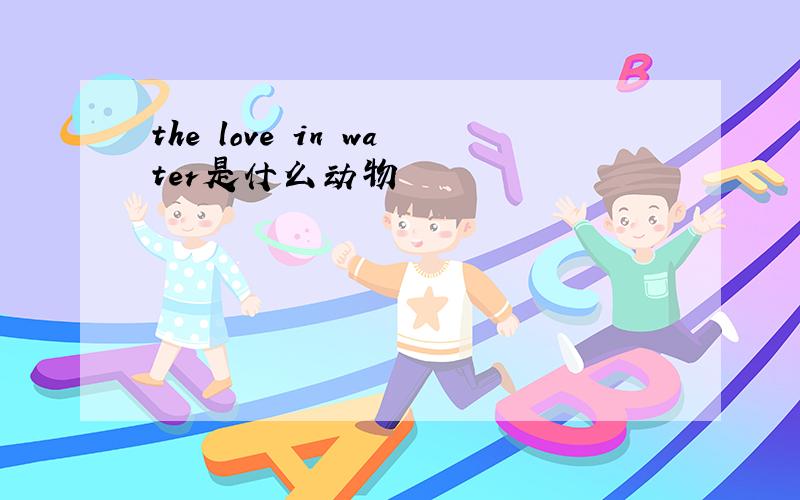 the love in water是什么动物