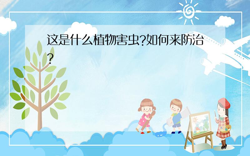 这是什么植物害虫?如何来防治?