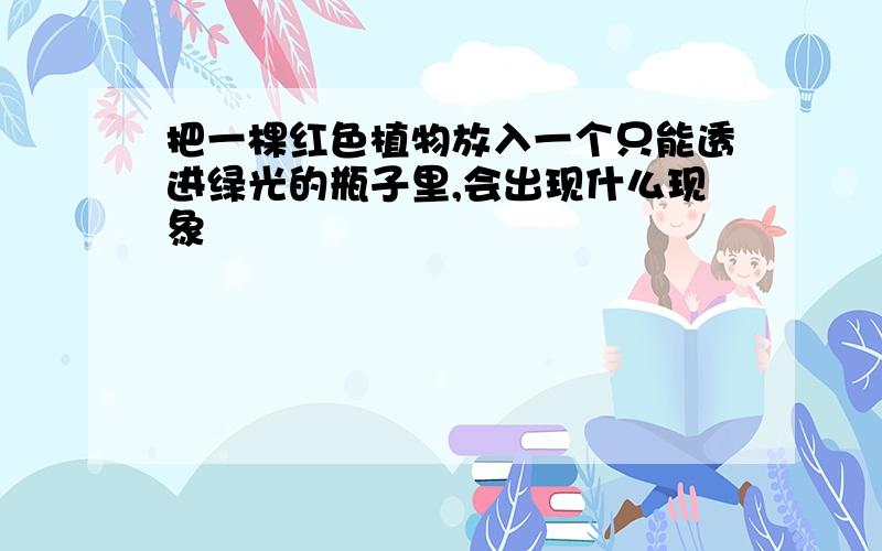 把一棵红色植物放入一个只能透进绿光的瓶子里,会出现什么现象