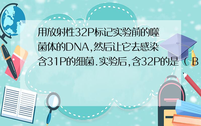 用放射性32P标记实验前的噬菌体的DNA,然后让它去感染含31P的细菌.实验后,含32P的是（ B ）