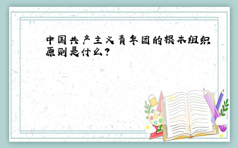 中国共产主义青年团的根本组织原则是什么?