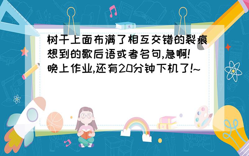 树干上面布满了相互交错的裂痕想到的歇后语或者名句,急啊!晚上作业,还有20分钟下机了!~