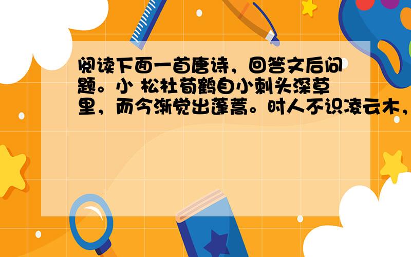 阅读下面一首唐诗，回答文后问题。小 松杜荀鹤自小刺头深草里，而今渐觉出蓬蒿。时人不识凌云木，直待凌