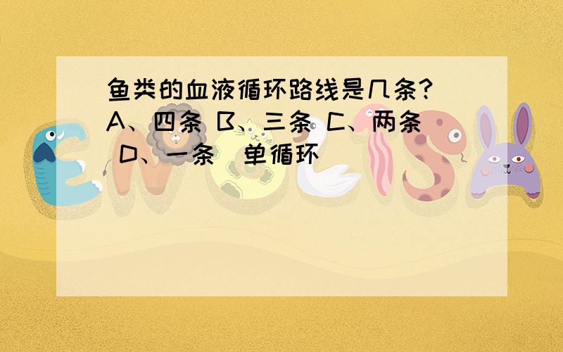 鱼类的血液循环路线是几条? A、四条 B、三条 C、两条 D、一条（单循环）