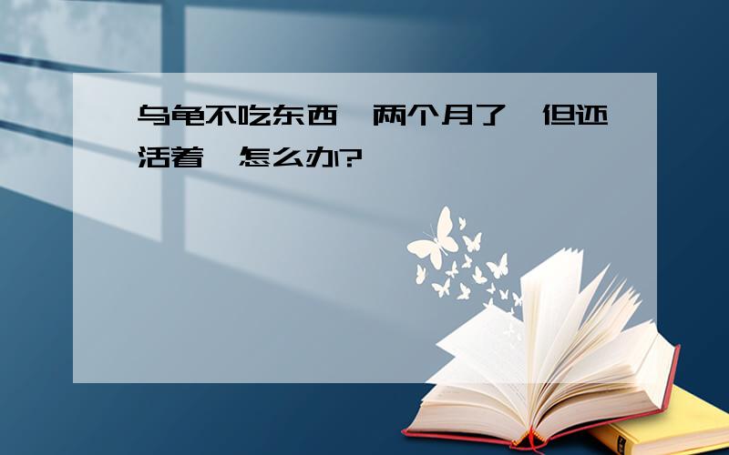 乌龟不吃东西,两个月了,但还活着,怎么办?