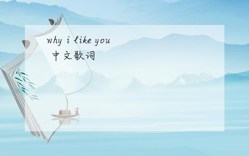 why i like you 中文歌词