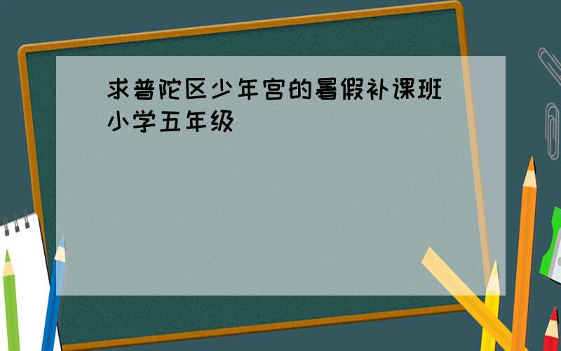 求普陀区少年宫的暑假补课班（小学五年级）