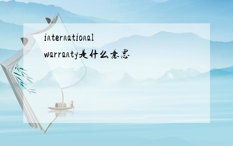 international warranty是什么意思