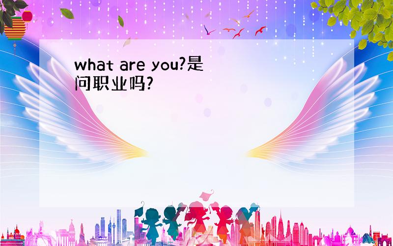 what are you?是问职业吗?