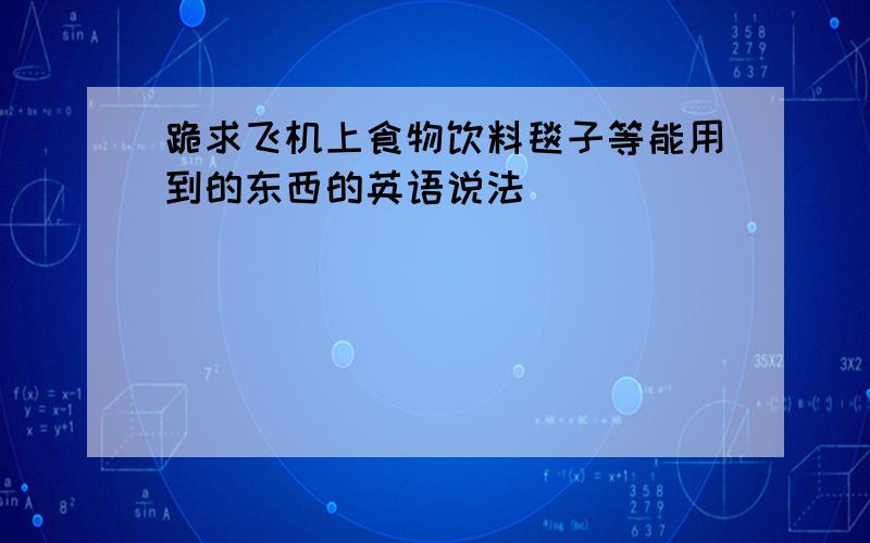 跪求飞机上食物饮料毯子等能用到的东西的英语说法