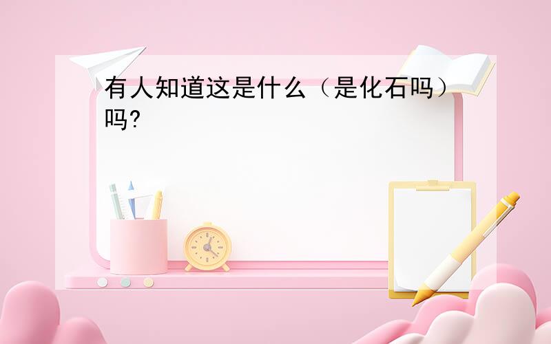 有人知道这是什么（是化石吗）吗?