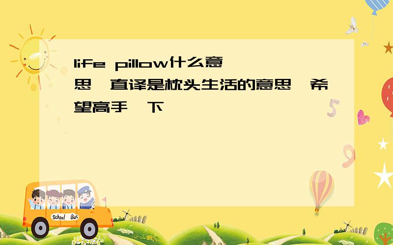 life pillow什么意思,直译是枕头生活的意思,希望高手一下