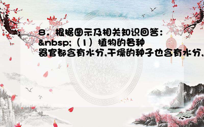 8．根据图示及相关知识回答： （1）植物的各种器官都含有水分,干燥的种子也含有水分,说明水是________,