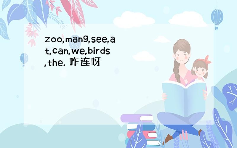 zoo,mang,see,at,can,we,birds,the. 咋连呀