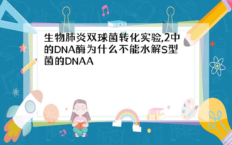 生物肺炎双球菌转化实验,2中的DNA酶为什么不能水解S型菌的DNAA