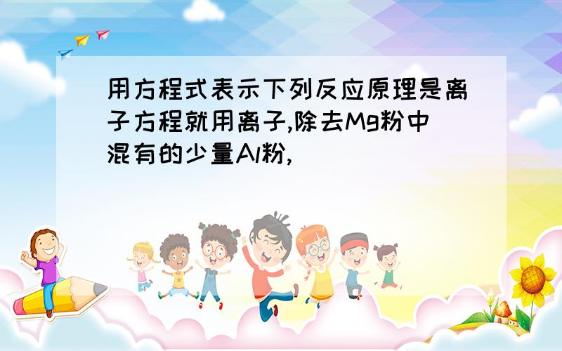 用方程式表示下列反应原理是离子方程就用离子,除去Mg粉中混有的少量Al粉,