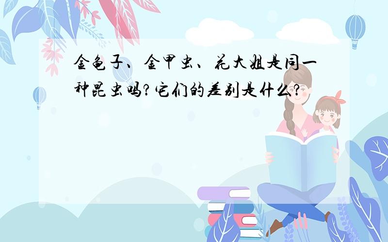 金龟子、金甲虫、花大姐是同一种昆虫吗?它们的差别是什么?