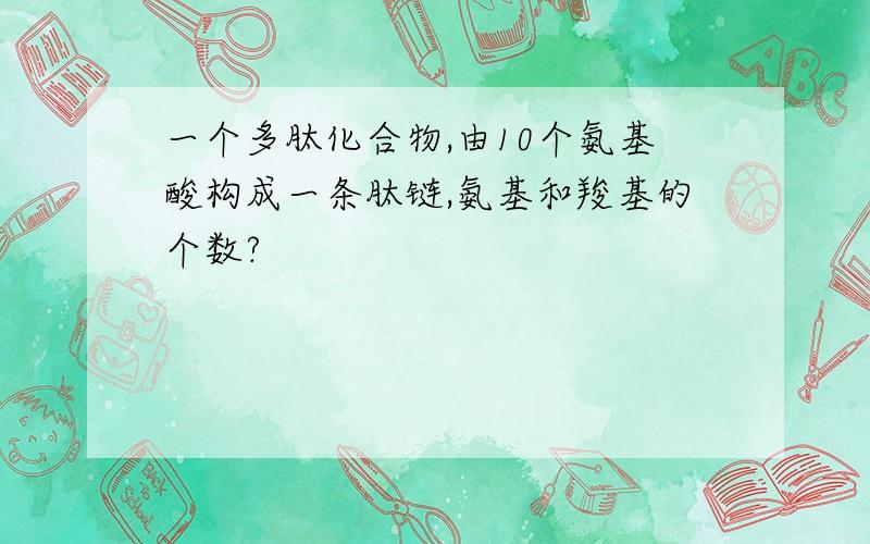 一个多肽化合物,由10个氨基酸构成一条肽链,氨基和羧基的个数?