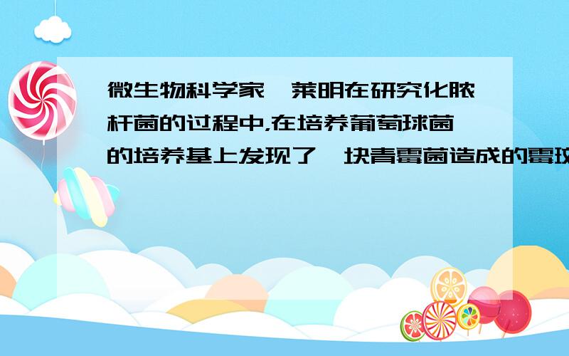 微生物科学家弗莱明在研究化脓杆菌的过程中，在培养葡萄球菌的培养基上发现了一块青霉菌造成的霉斑，在这块霉斑上竟没有细菌的踪