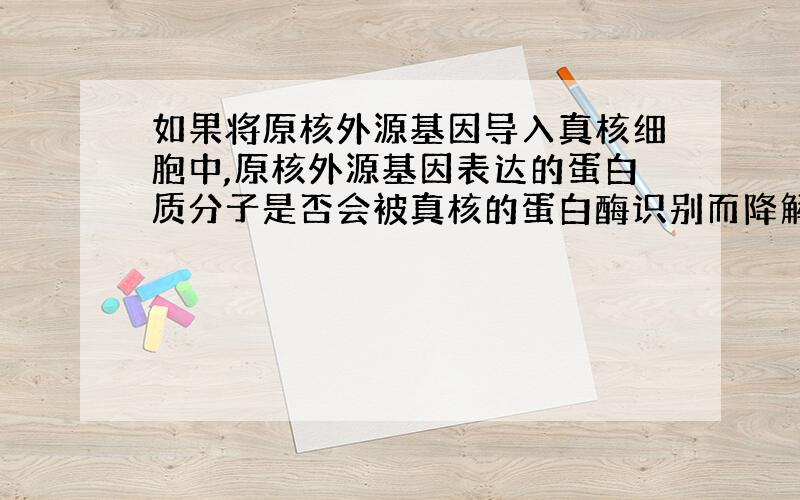 如果将原核外源基因导入真核细胞中,原核外源基因表达的蛋白质分子是否会被真核的蛋白酶识别而降解?