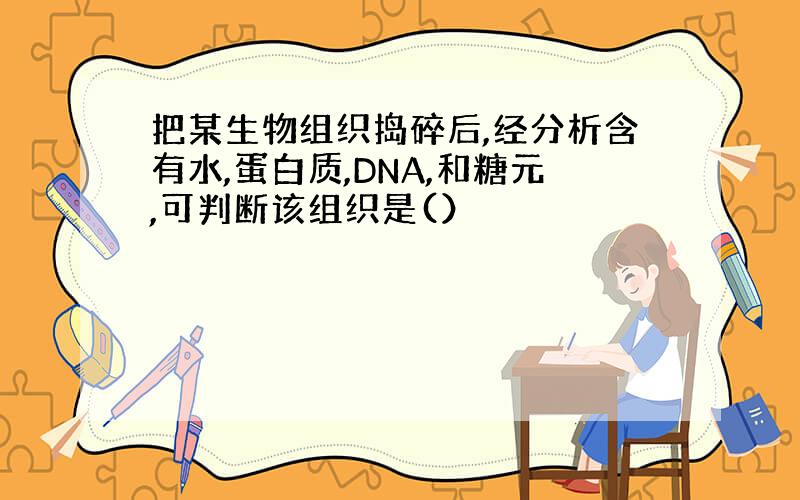 把某生物组织捣碎后,经分析含有水,蛋白质,DNA,和糖元,可判断该组织是(）