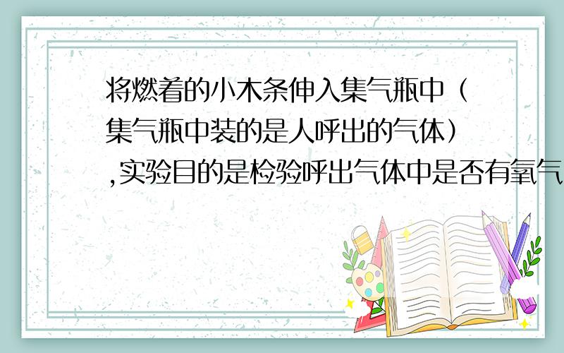 将燃着的小木条伸入集气瓶中（集气瓶中装的是人呼出的气体）,实验目的是检验呼出气体中是否有氧气,实验现象是小木条火焰变小甚