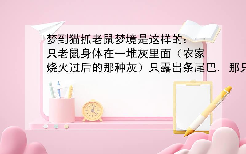 梦到猫抓老鼠梦境是这样的：一只老鼠身体在一堆灰里面（农家烧火过后的那种灰）只露出条尾巴. 那只猫就扑上去咬那条尾巴,尾巴