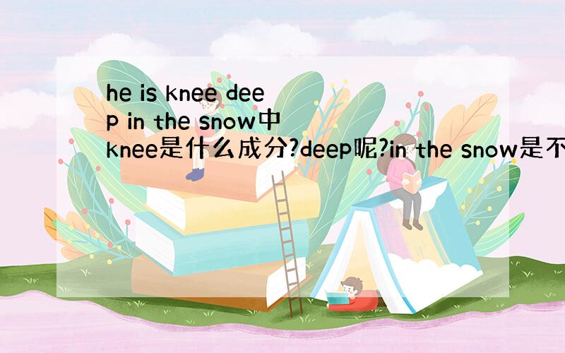 he is knee deep in the snow中knee是什么成分?deep呢?in the snow是不是地点