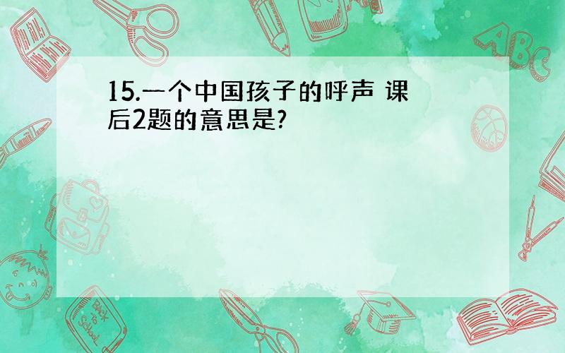 15.一个中国孩子的呼声 课后2题的意思是?