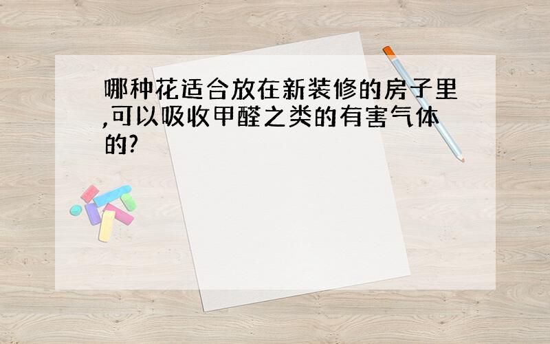 哪种花适合放在新装修的房子里,可以吸收甲醛之类的有害气体的?