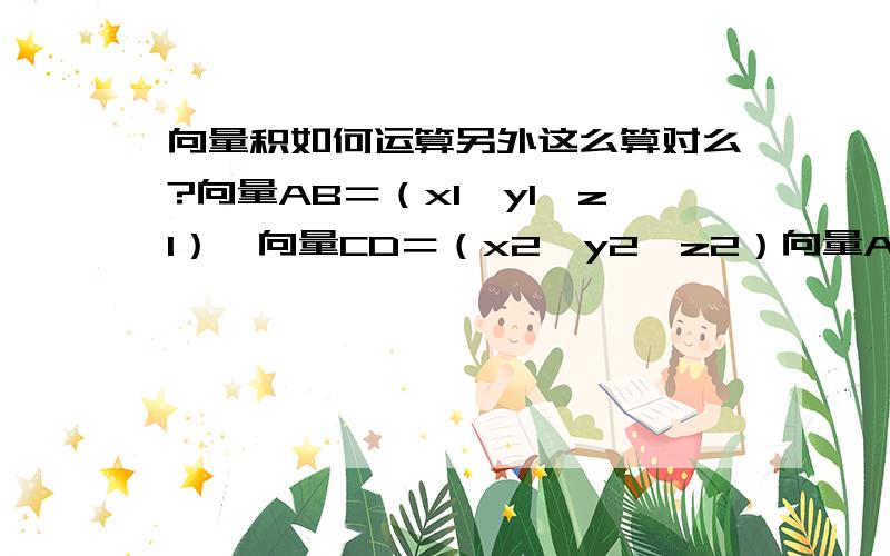 向量积如何运算另外这么算对么?向量AB＝（x1,y1,z1）,向量CD＝（x2,y2,z2）向量AB×向量CD＝（y1z