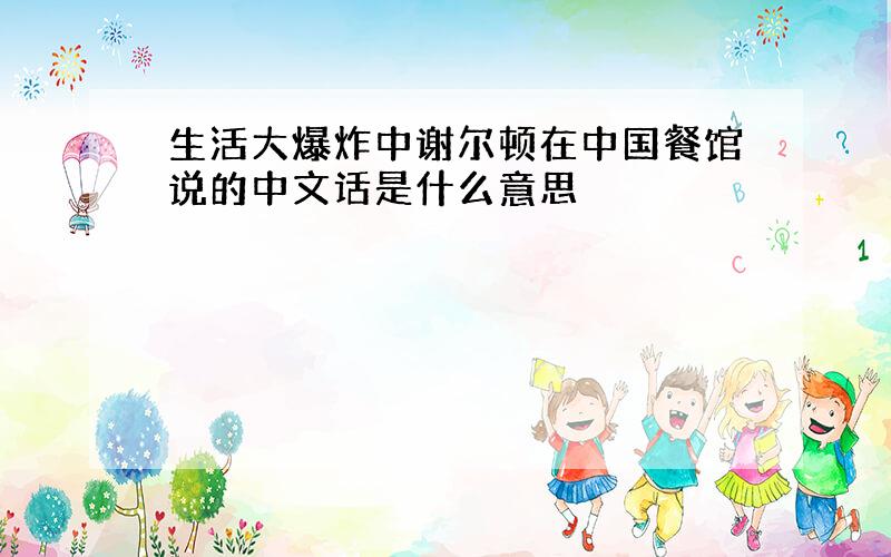 生活大爆炸中谢尔顿在中国餐馆说的中文话是什么意思