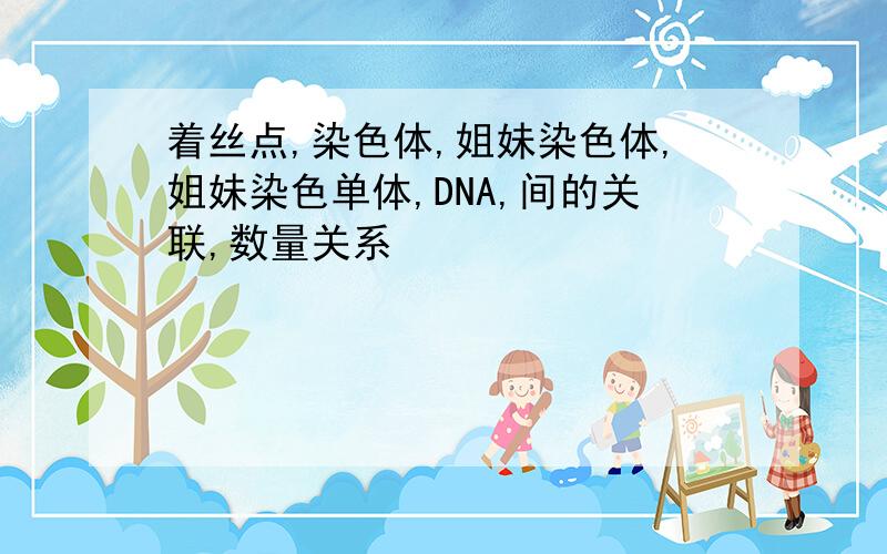 着丝点,染色体,姐妹染色体,姐妹染色单体,DNA,间的关联,数量关系