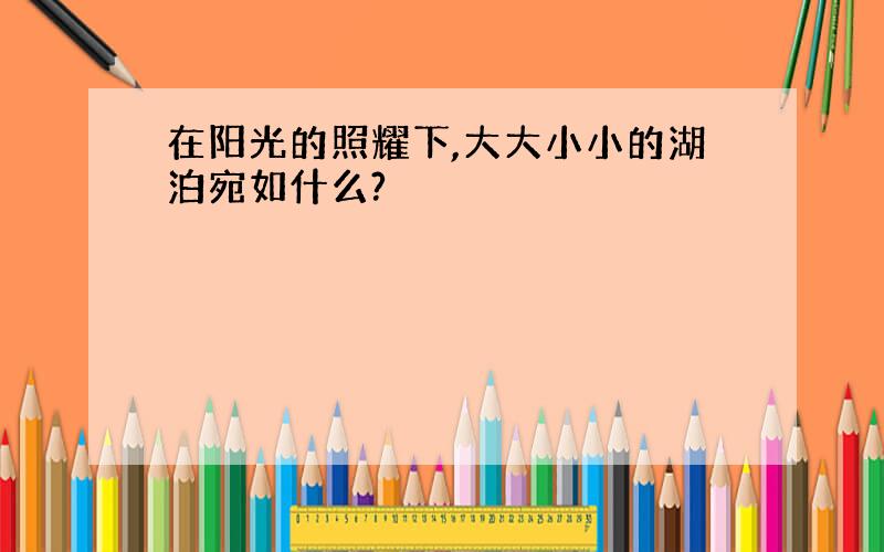 在阳光的照耀下,大大小小的湖泊宛如什么?