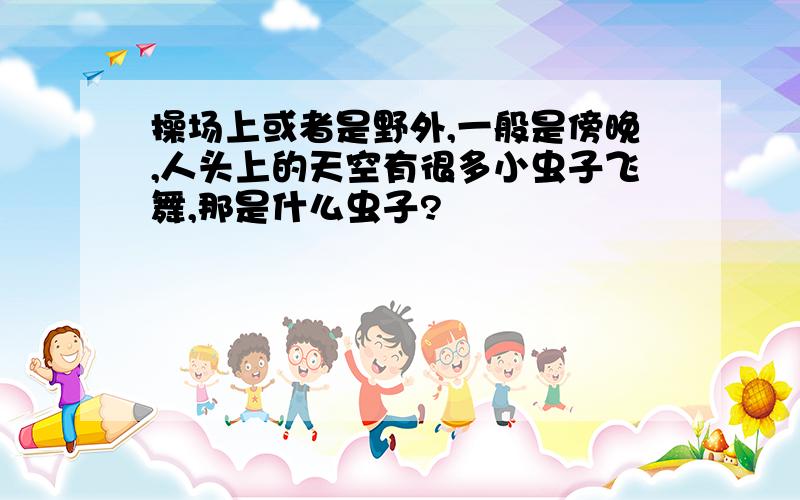 操场上或者是野外,一般是傍晚,人头上的天空有很多小虫子飞舞,那是什么虫子?