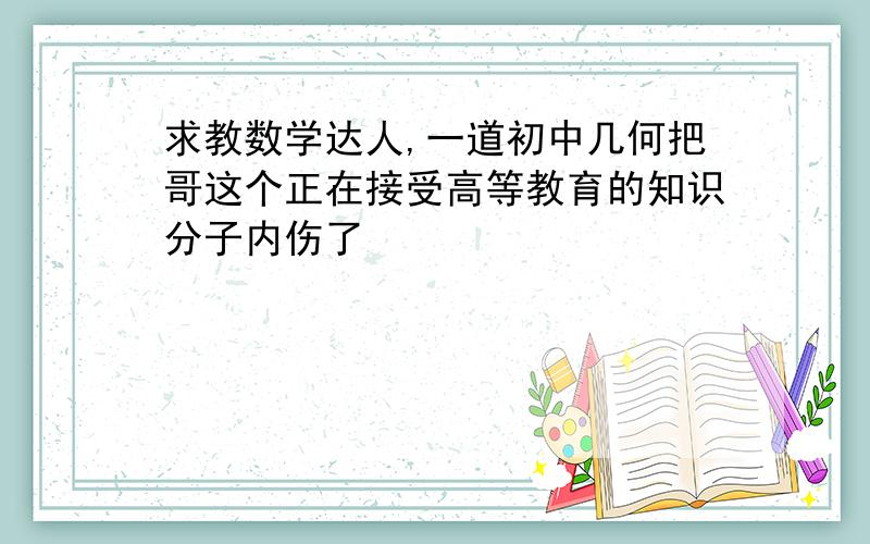 求教数学达人,一道初中几何把哥这个正在接受高等教育的知识分子内伤了