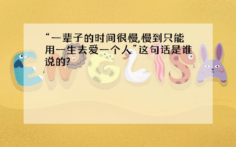 “一辈子的时间很慢,慢到只能用一生去爱一个人”这句话是谁说的?