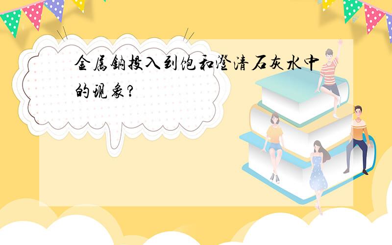 金属钠投入到饱和澄清石灰水中的现象?