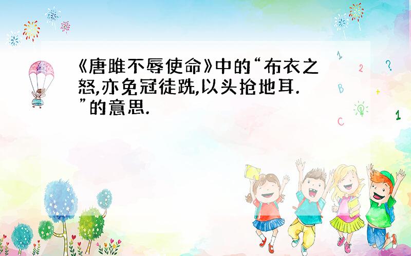 《唐雎不辱使命》中的“布衣之怒,亦免冠徒跣,以头抢地耳.”的意思.