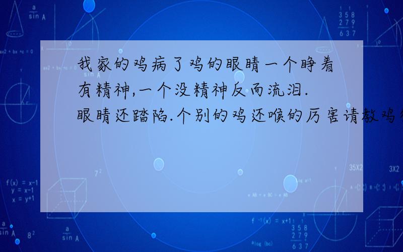 我家的鸡病了鸡的眼睛一个睁着有精神,一个没精神反而流泪.眼睛还踏陷.个别的鸡还喉的厉害请教鸡得了什么病?