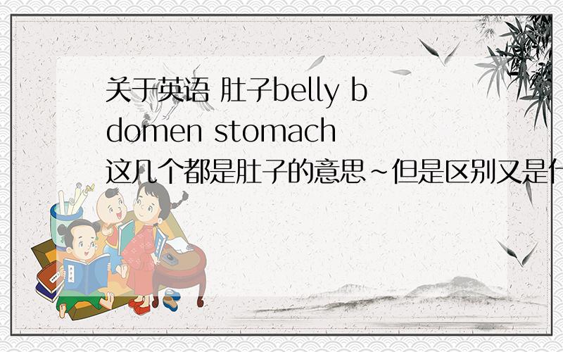 关于英语 肚子belly bdomen stomach 这几个都是肚子的意思~但是区别又是什么,