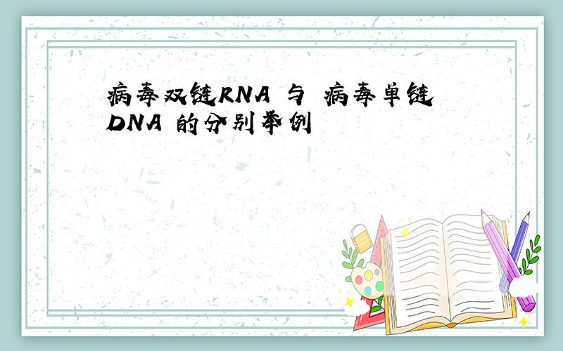 病毒双链RNA 与 病毒单链DNA 的分别举例