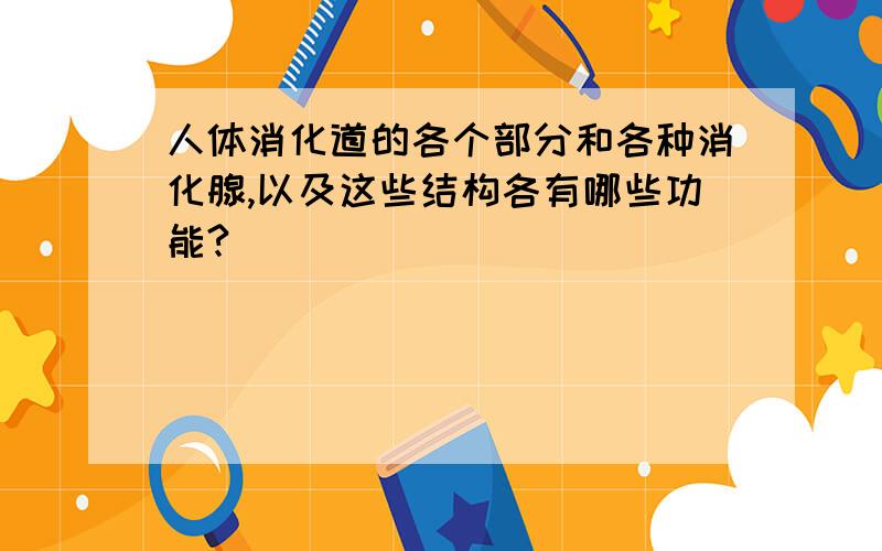 人体消化道的各个部分和各种消化腺,以及这些结构各有哪些功能?