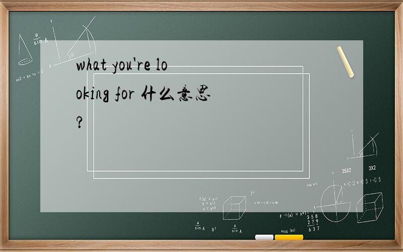 what you're looking for 什么意思?