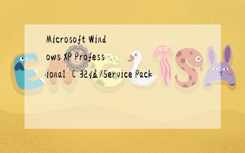 Microsoft Windows XP Professional (32位/Service Pack