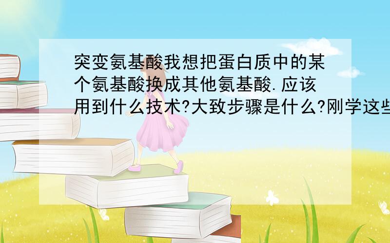 突变氨基酸我想把蛋白质中的某个氨基酸换成其他氨基酸.应该用到什么技术?大致步骤是什么?刚学这些,见笑.