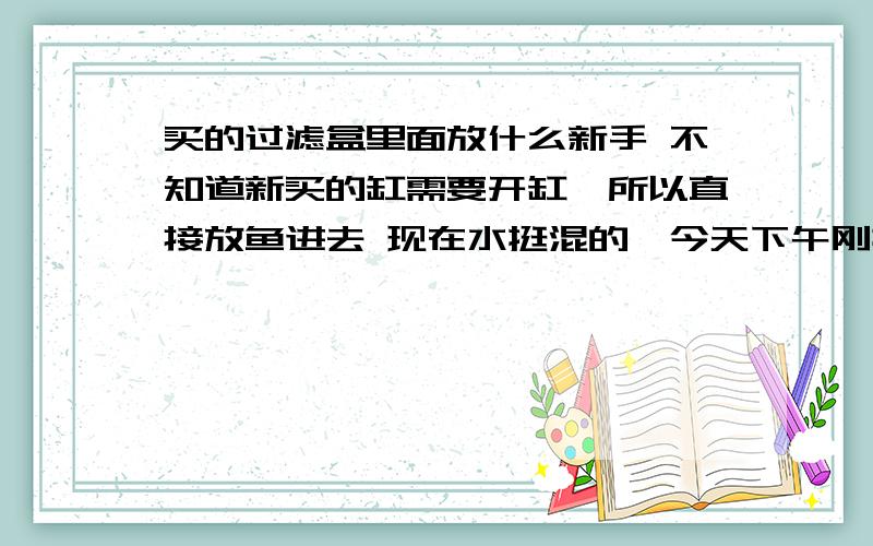 买的过滤盒里面放什么新手 不知道新买的缸需要开缸,所以直接放鱼进去 现在水挺混的,今天下午刚换的三分之一水,60的缸,过