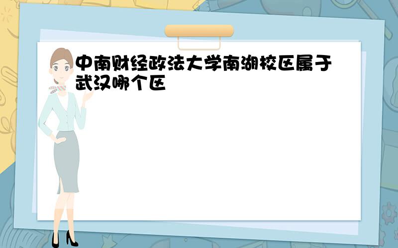 中南财经政法大学南湖校区属于武汉哪个区